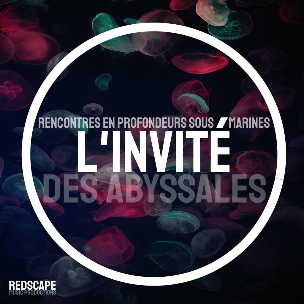 L'Invité
